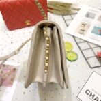 chanel-calf-leather-single-flap-bag-as8869-5.jpg