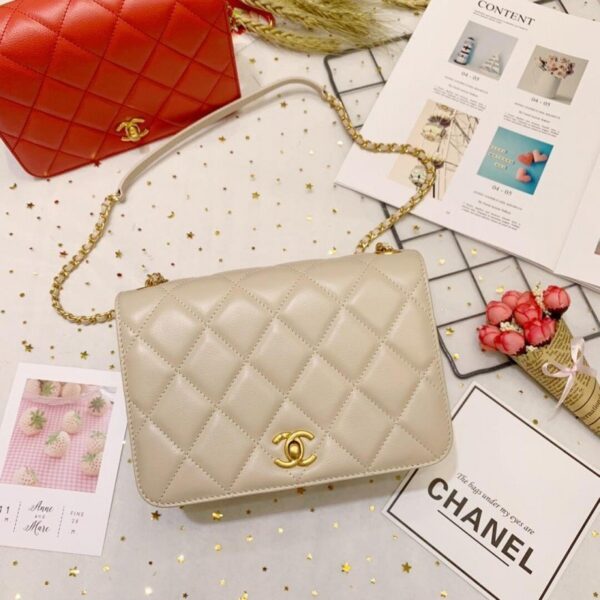 chanel-calf-leather-single-flap-bag-as8869.jpg