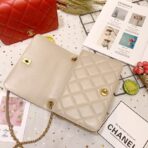 chanel-calf-leather-single-flap-bag-as8869-7.jpg