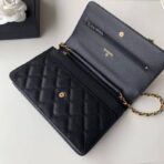chanel-caviar-quilted-wallet-on-chain-woc-a33814-5.jpg
